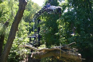 Land Clearing Albany, NY